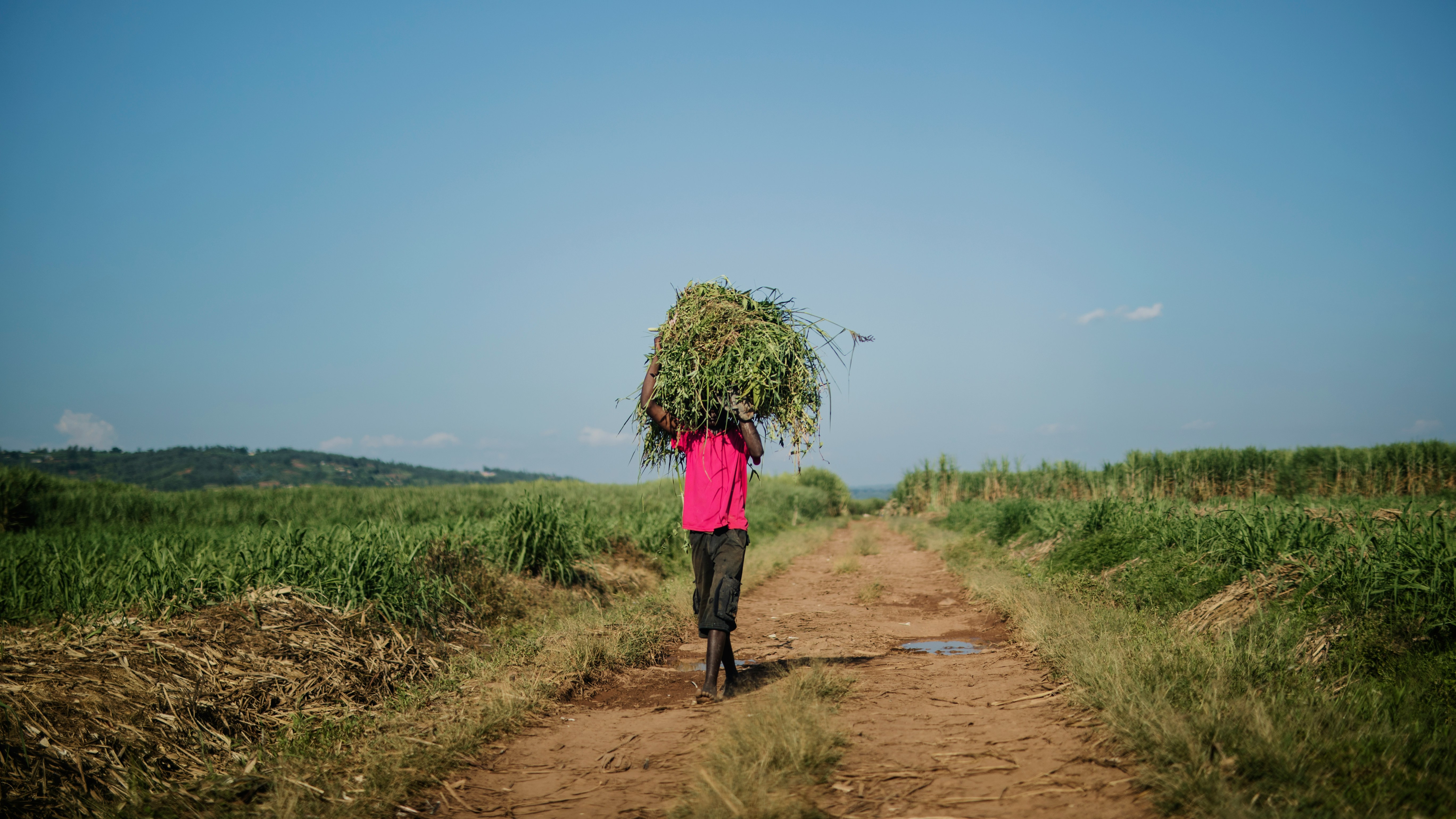 Bugesera Travel Cost Guide - How Expensive is Bugesera? | Detour