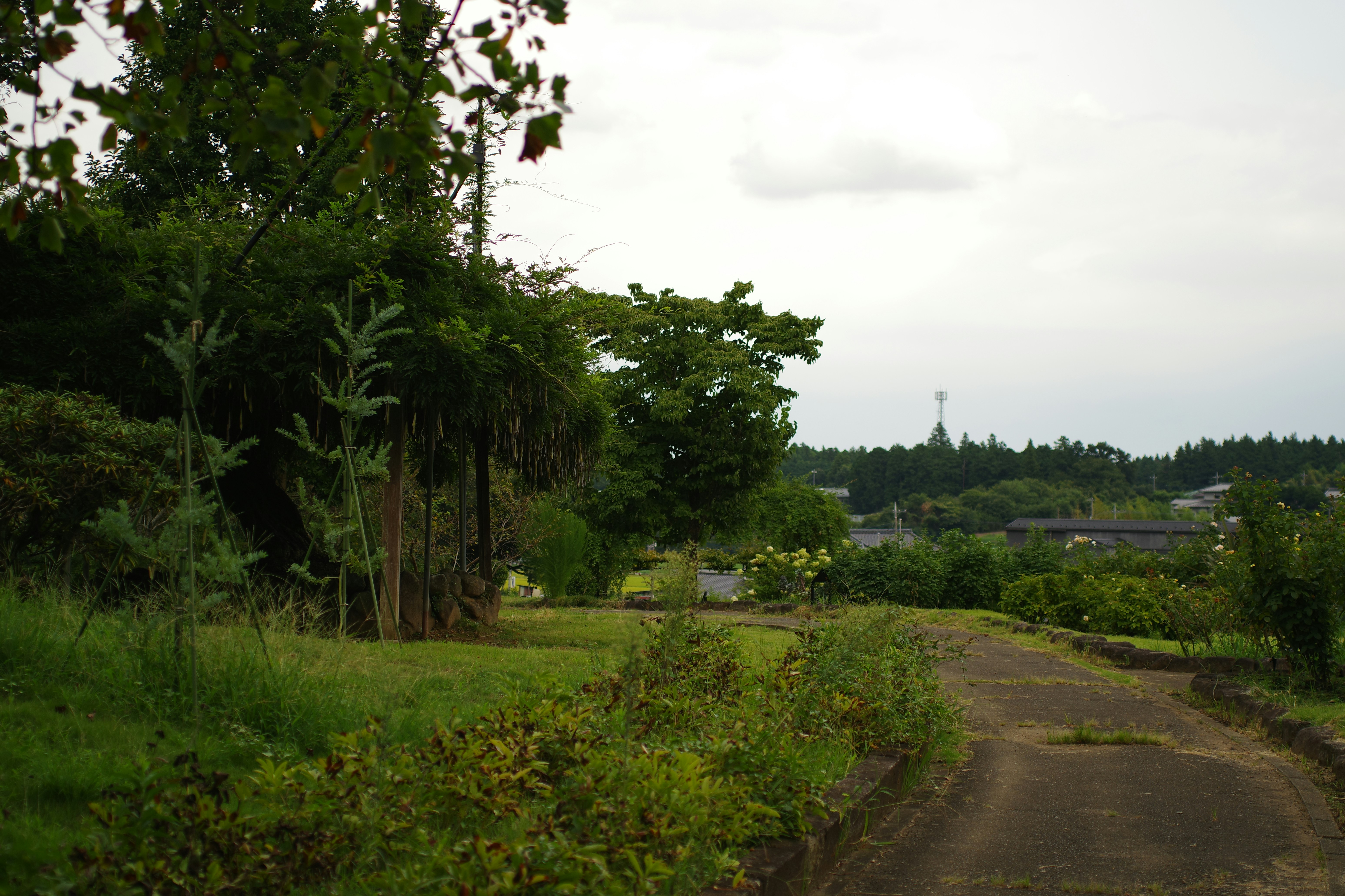 Visit Nyanza, Rwanda - Travel Info, Top Attractions & Tips | Detour